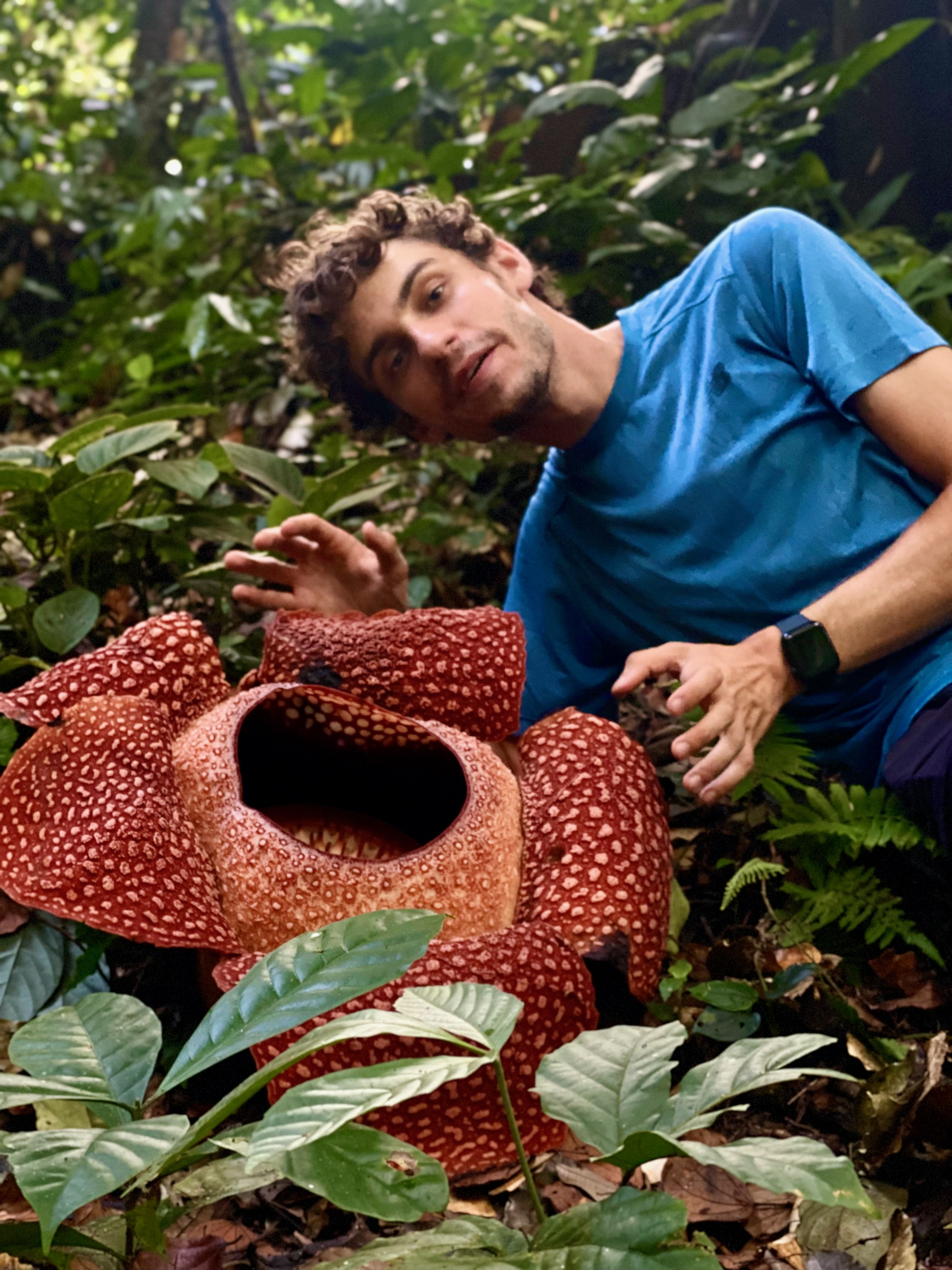 Academic image 2
